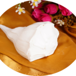 Everything You Need to Know About Five Finger Sangu