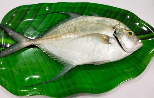 பாறை கருவாடு பிரியாணி